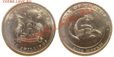 5 монет Уганды (обезьяны) 2004 г. до 04.03.11 22-00 мск - 100_shillings_2004_4.JPG