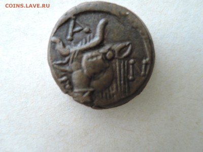 Лепта из Пантикапея - DSCN5309.JPG