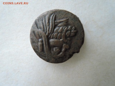 Лепта из Пантикапея - DSCN5307.JPG