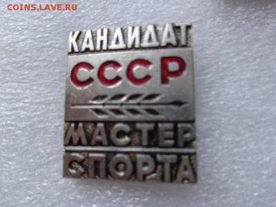 МОТО :  Кандидат мастер спорт   до 10.8 в 21-30 мск - DSC01924.JPG