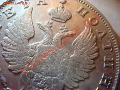 Полтина 1816г. - DSC02303.JPG