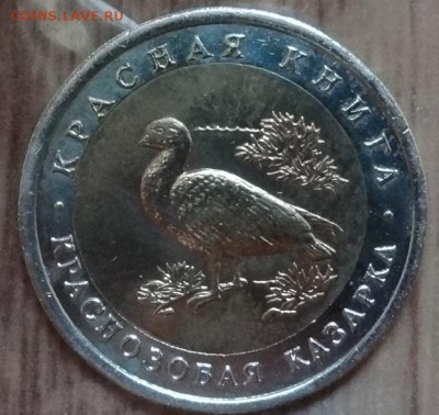 Россия 1992 Красная книга Казарка до 10.08.17 22-00 - DSC04124.JPG