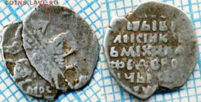 Чешуйка на определение. - 33брак