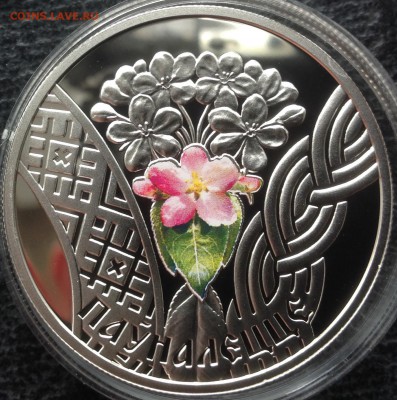 Совершеннолетие 20 рублей 2010 г. До ухода в архив - IMG_8848.JPG