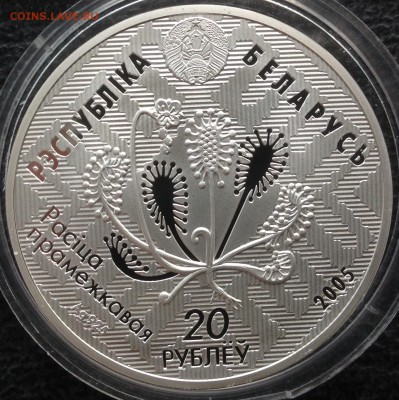 Сова 20 рублей Белорусь 2005г.до ухода в архив - IMG_8859.JPG