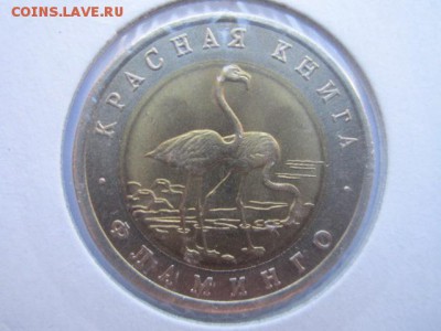 КК 1994 ФЛАМИНГО аUNC (холдер) до 13.08.2017 в 22:30 - IMG_5014.JPG