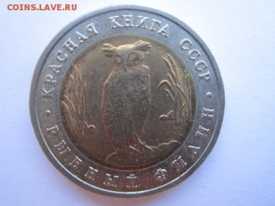 С 200 КК 1991 ФИЛИН №2 до 13.08.2017 в 22:30 - IMG_5016.JPG