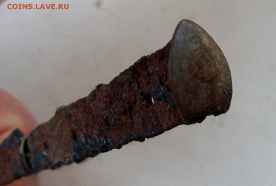 Коготки - 100_9245.JPG