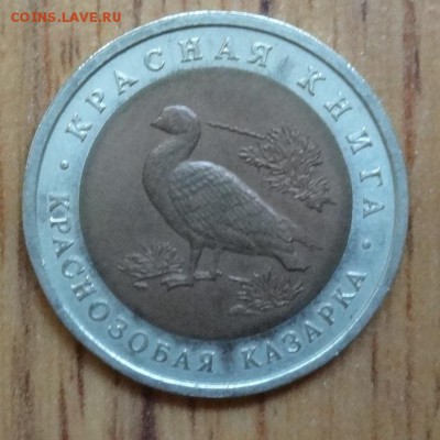 Россия 1992 Красная книга Казарка_2 до 12.08.17 22-00 - DSC04177.JPG
