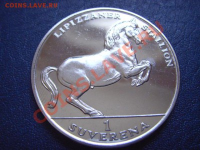 Босния и Герц. 1 суверен 1994 Жеребец до 03.03 в 21.00М - LPIC6639.JPG