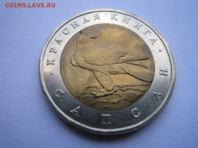 КК 1994 САПСАН до 13.08.2017 в 22:30 - IMG_5029.JPG