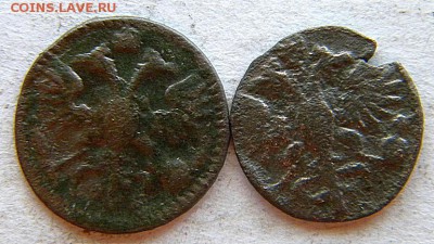 полушки Год: 1721-22 Окончание: 22-00 мск 14.08.17 - DSCN8849.JPG