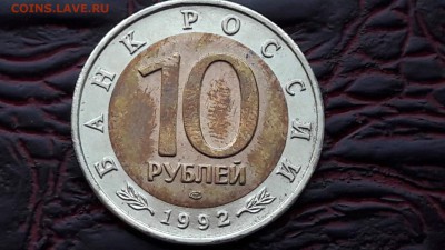 Казарка брак раскол. До 15.08 - IMG_20170809_194443_14