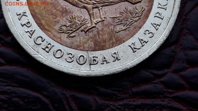 Казарка брак раскол. До 15.08 - IMG_20170809_194441_13