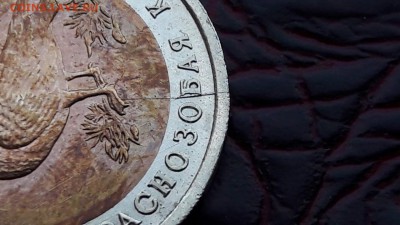 Казарка брак раскол. До 15.08 - IMG_20170809_194438_11