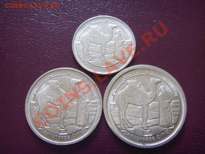 Арабская Сахара 1-2-5 песет 1992 Верблюд до 03.03 в 21.00М - LPIC6913.JPG