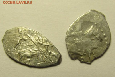Две чешуйки Фёдора Ивановича - 2017-08-10 06-53-28.JPG