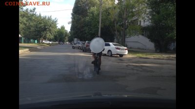делает - прямо сейчас !!! - IMG_5038.PNG