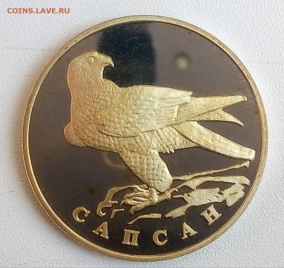 КК,сапсан,С 200!!!до 16.08 - P_20170804_160122_SRES_1
