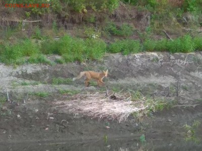 Рыбаки присоединяйтесь!!! - IMG_20170812_071500