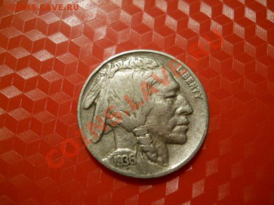 5 центов 1936, Буффало красивый. До 4 марта 20-00 Мск - DSCN1586.JPG