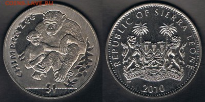 Сьерра-Леоне 1$ 2010 "Шимпанзе" до 18.08.17 22:00 МСК - SL_KM#366_12082017