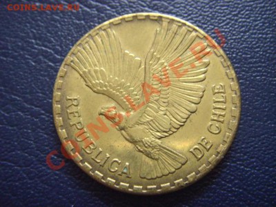 Чили 10 чентезимо 1965 Кондор до 04.03 в 21.00М - LPIC7003.JPG