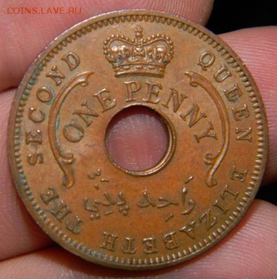 пенни нигерия 1959 - DSCN1043.JPG