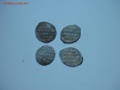 IV Чешуя - DSCN5023.JPG