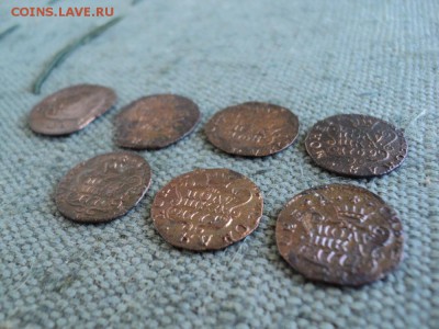 7 монет полушка 1767-1772г  КМ Сибирская - 4 DSC03526.JPG