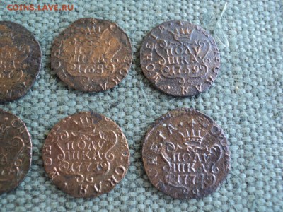 7 монет полушка 1767-1772г  КМ Сибирская - 3 DSC03525.JPG