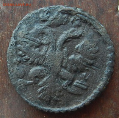 полушка 1731 (не чищена, перечекан из Крестовика) до 22.08. - DSCN7187