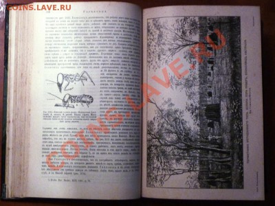 Книга Д. Шарп Насекомые 1910г - P1030444.JPG