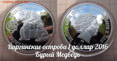 Виргинские ос-ва 1 доллар 2016 Медведь Новосибирский зоопарк - э