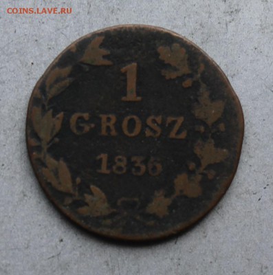 1 грош 1836 год. - IMG_7530.JPG