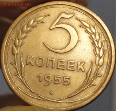 5 копеек 1955 г.,   до 22:25 мск 28.08.2017 г. - 5-55-4.JPG