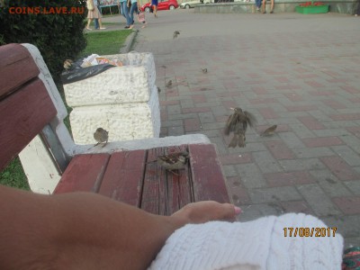 делает - прямо сейчас !!! - IMG_3359.JPG