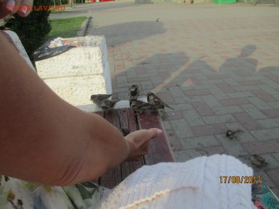 делает - прямо сейчас !!! - IMG_3361.JPG