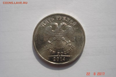 Ходячка. Расколы до 27.08 22-00 МСК - DSC08340.JPG