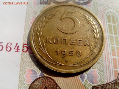 5 копеек 1950  до 28.08 22-30 - 5-50-3