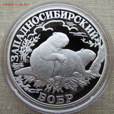 1 рубль 2001 г. Западносибирский бобр. R! Ag. До 25.08.17 - IMG_8365.JPG