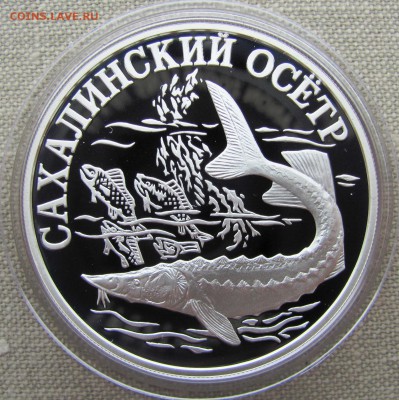 1 рубль 2001 г. Сахалинский осетр. R! Ag. до 25.08.17 22.00 - IMG_8373.JPG