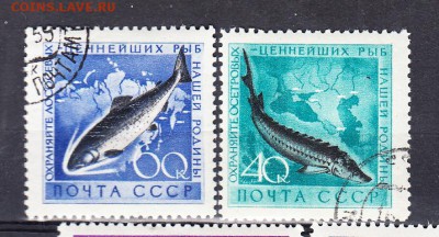 СССР 1959 рыбы - 18