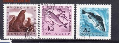 СССР 1960 морская фауна - 19