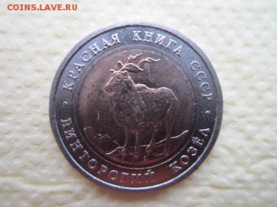 кк 91 КОЗЁЛ ац до 27.08.2017 в 22:30 - IMG_5307.JPG
