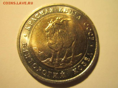 кк 91 КОЗЁЛ ац до 27.08.2017 в 22:30 - IMG_5352.JPG