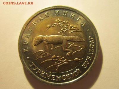 кк 93 ЗУБЛЕФАР до 27.08.2017 в 22:30 - IMG_5364.JPG
