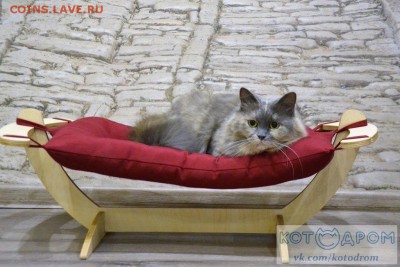 делает - прямо сейчас !!! - IMG_5293.JPG