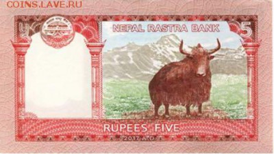 Новости 2017 года, пополняемая - nepal_nrb_5_rupees_2017.00.00_b290a_pnl_150546_r
