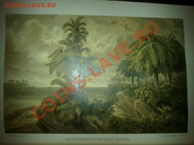иллюстрация в книге - 01032011198